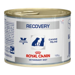 Royal Canin Recovery chien et chat mousse 195gr